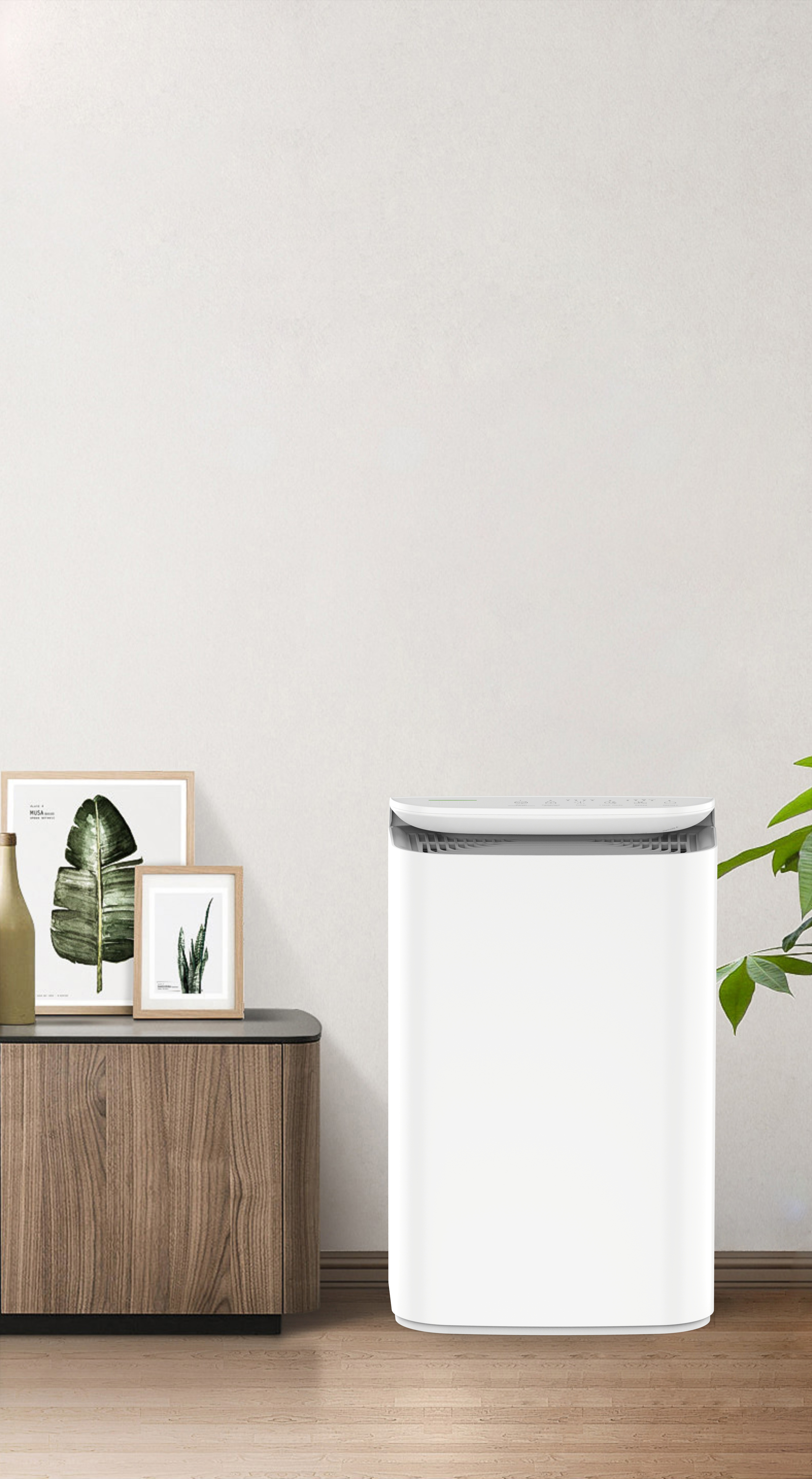 Обновление анионных технологий свежее дыхание леса BKJ-16B